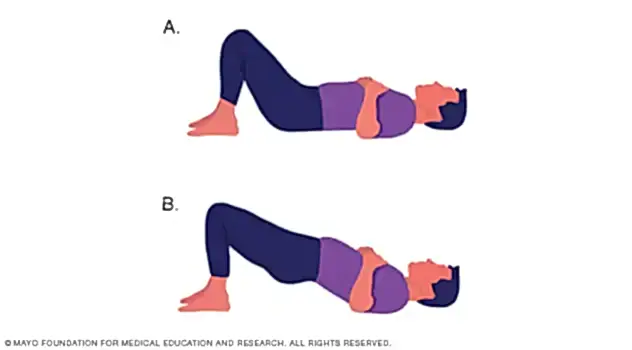Köprü Egzersizi (Bridge Exercise)